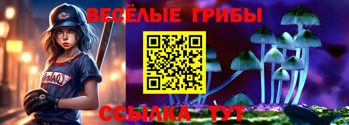 хочу   Псилоцибиновые грибы мухоморы  Вход с VPN  Псилоцибиновые грибы Cubensis  Элиста 