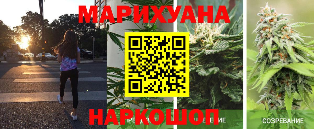 Бошки марихуана марихуана Элиста